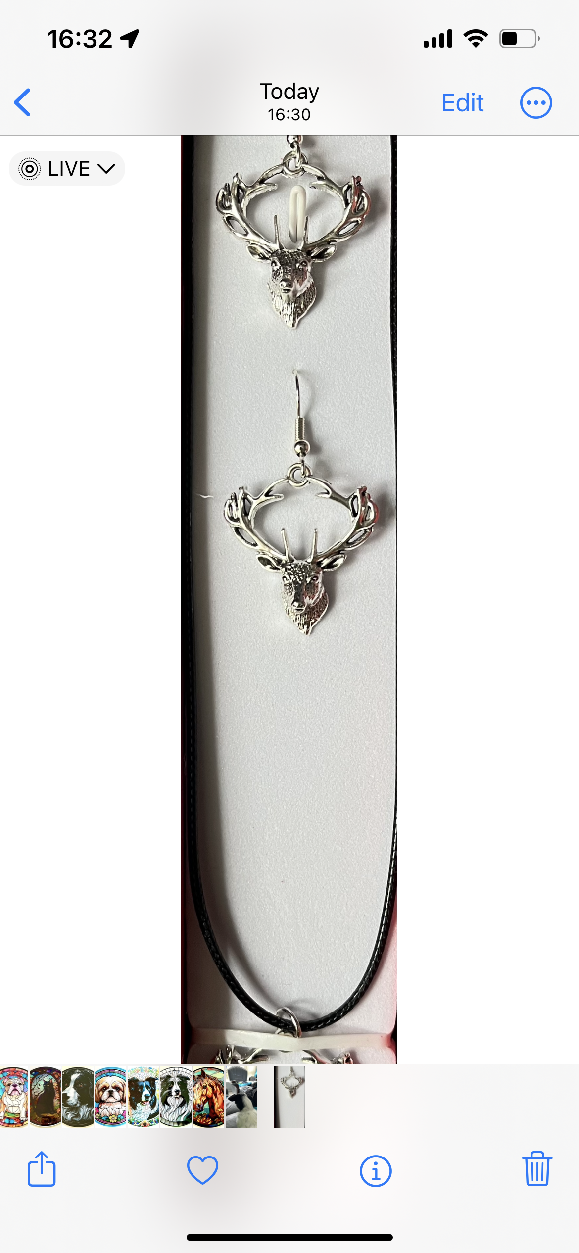 Stag 2pc Jewellery set