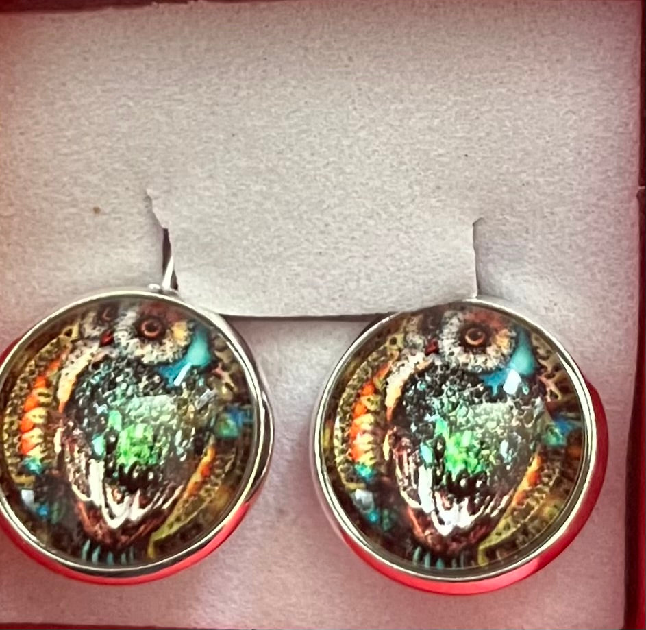 Earrings - owl clasp style
