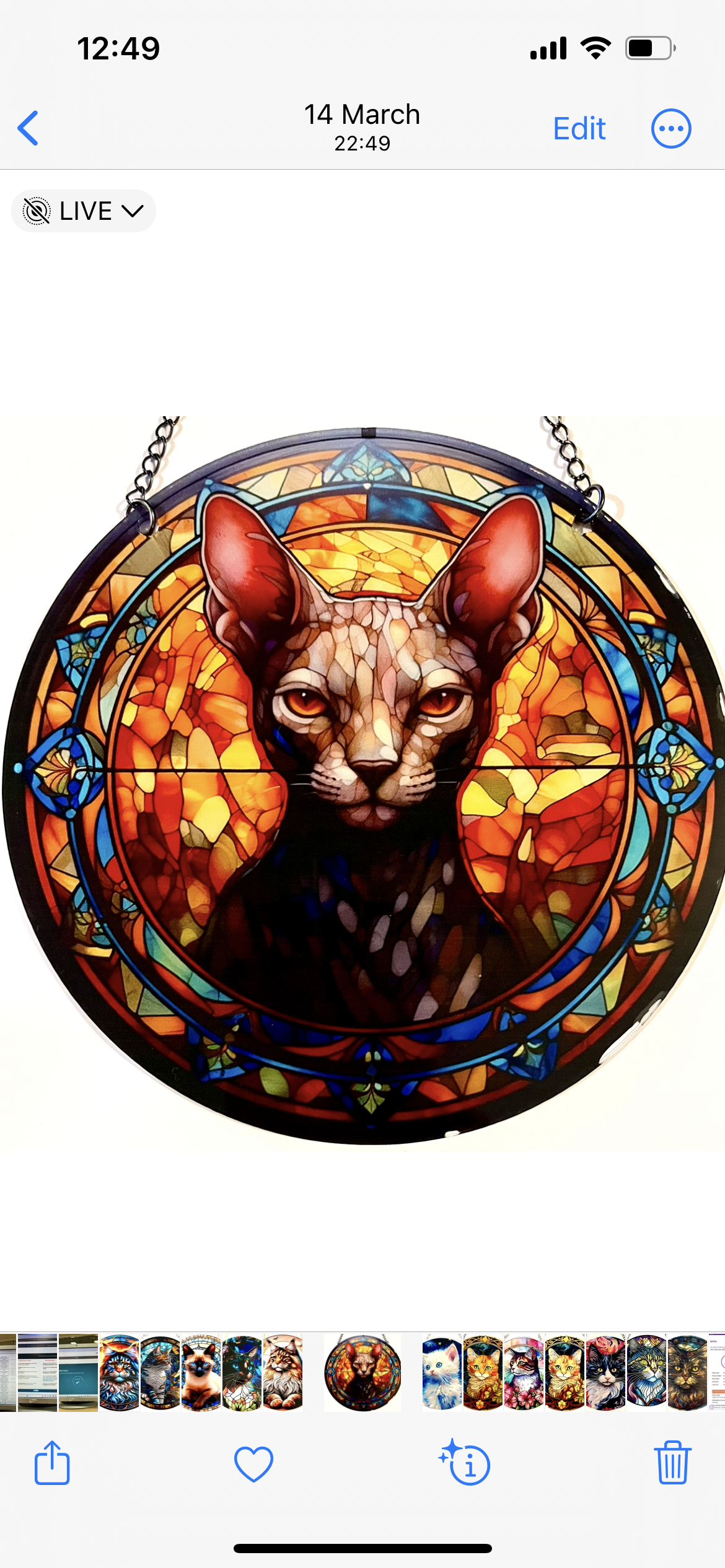 Cat Suncatcher - sphinx hairless cat
