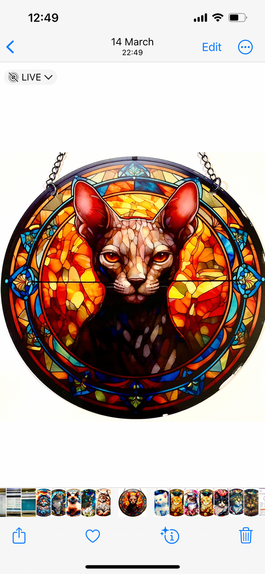 Cat Suncatcher - sphinx hairless cat