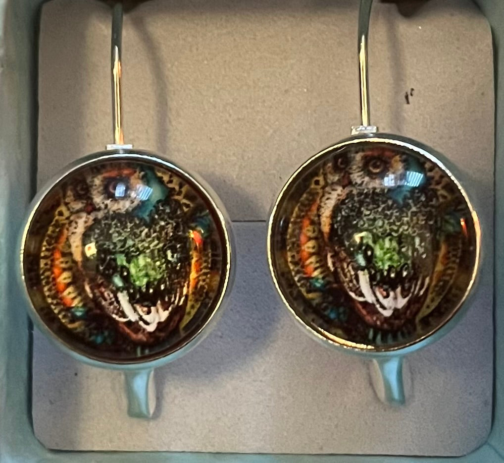 Earrings - owl clasp