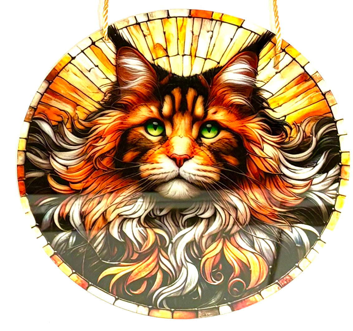 Cat - suncatcher ginger Maine coon