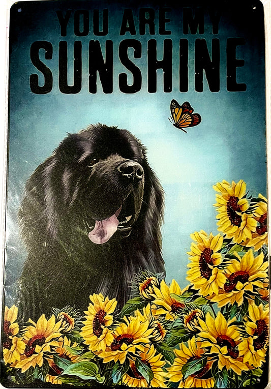 Dog tinplate sign - Black Newfoundland
