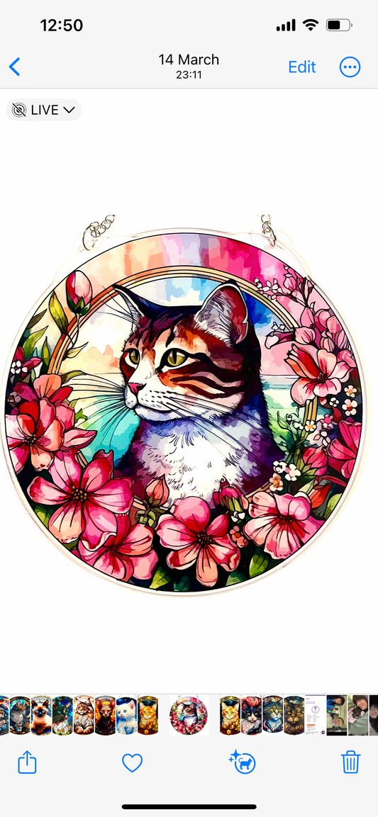 Cat Suncatcher - ginger/white