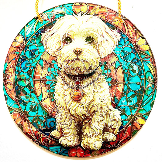 Dog - Bichon Frise
